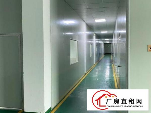  独院厂房二楼整层及宿舍一层
