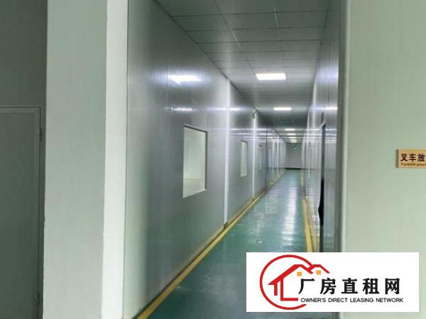  独院厂房二楼整层及宿舍一层