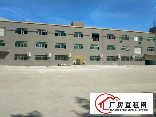  清溪镇三中原房东二楼带装修好办公室地平漆2600平出租