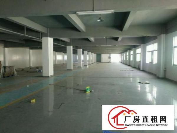  清溪镇三中原房东二楼带装修好办公室地平漆2600平出租