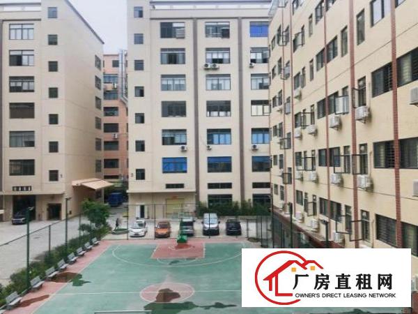  出租清溪镇独门独院厂房一楼
