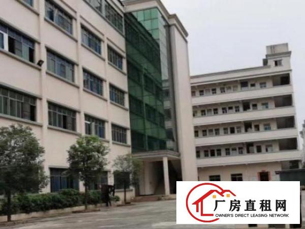  清溪镇300平方至20000平方从业地产行业多年不收介绍费