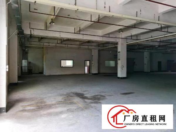  清溪镇大利村2000平方一楼大空的工业厂房急出租