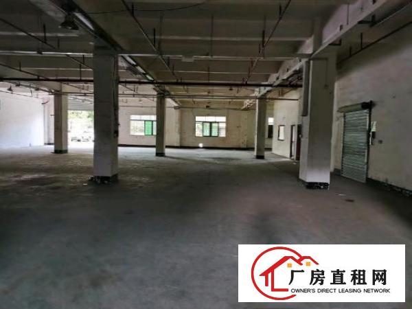  清溪镇大利村2000平方一楼大空的工业厂房急出租