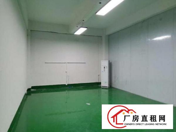  现成精装车间流水线，电子产品的不二选择，即租即用