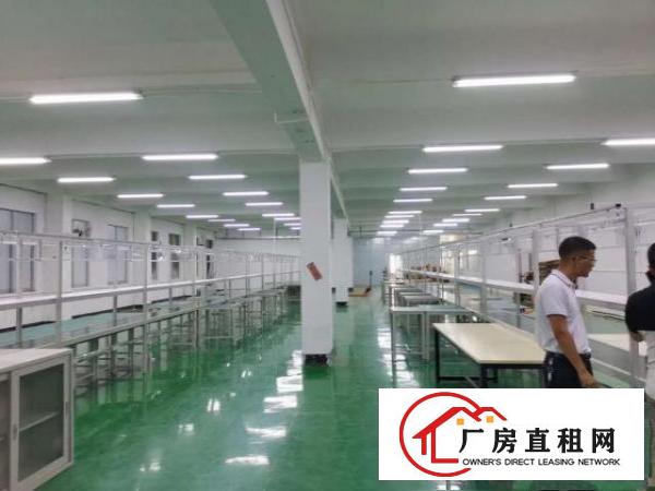  现成精装车间流水线，电子产品的不二选择，即租即用