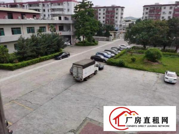  清溪原房东厂房出租，可分租