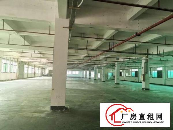  清溪原房东厂房出租，可分租