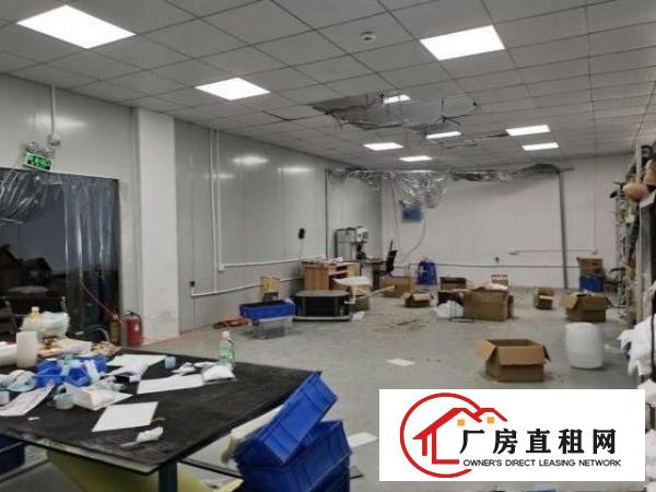  大利带现成装修厂房出租