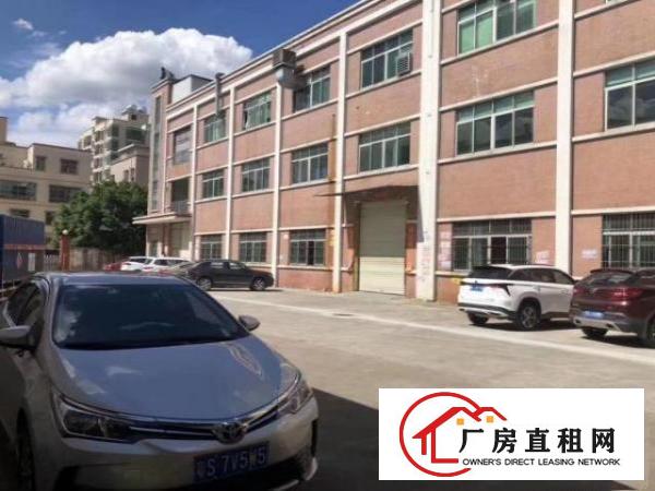  原房东独门独院标准厂房招租一楼高5米