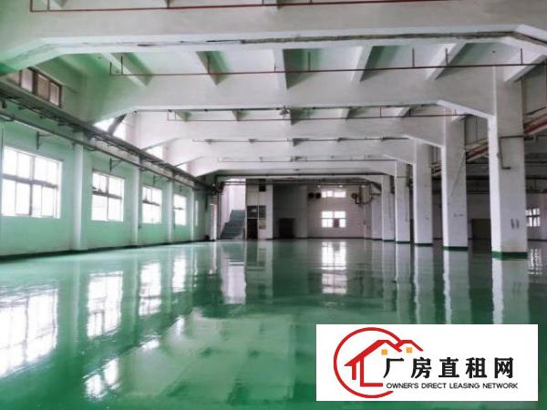  清溪原房东标准一楼厂房2200平全新地坪漆带喷淋水电齐全