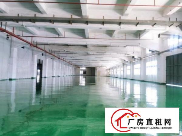  清溪镇中心原房东标准3200平厂房带豪华办公室水电齐全