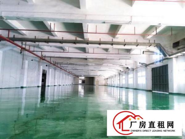  清溪镇中心原房东标准3200平厂房带豪华办公室水电齐全