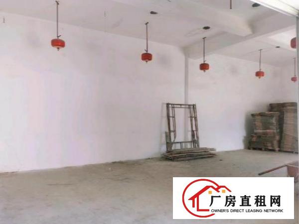  清溪原房东标准一楼厂房300平带装修水电齐全