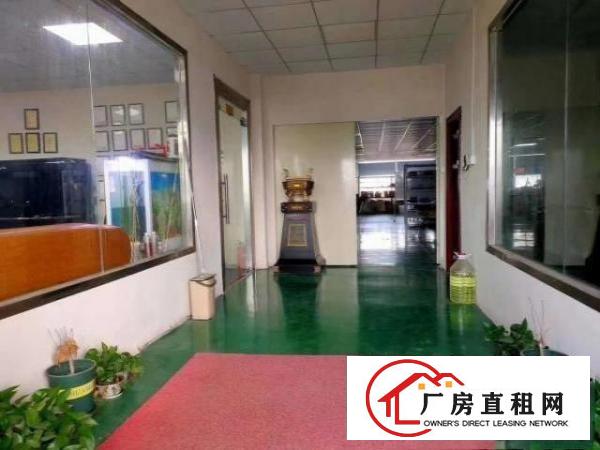  清溪镇中心附近新出厂房，精装修