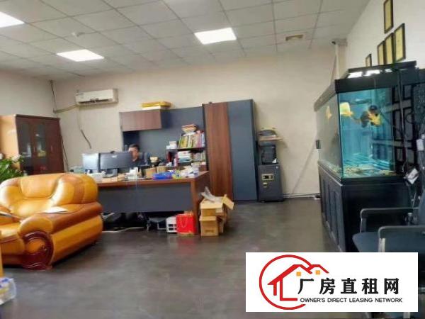  清溪镇中心附近新出厂房，精装修