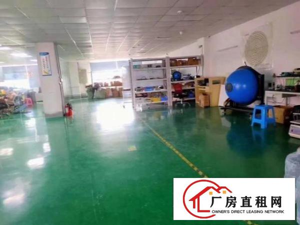  清溪镇中心附近新出厂房，精装修