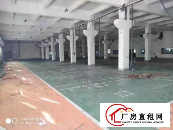  清溪三中。优美独院。一楼厂房。2000平方米。牛角位。重工业