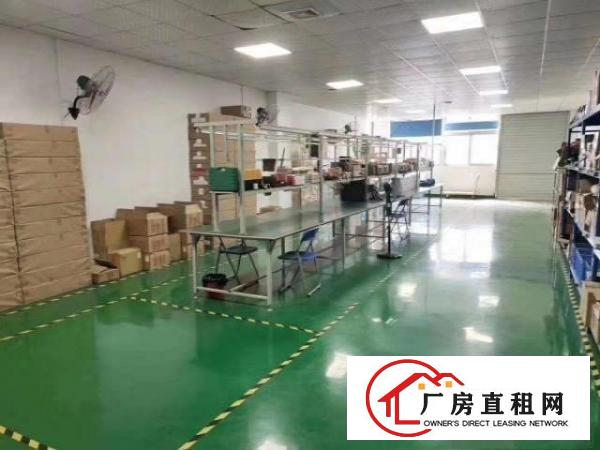  清溪新出原房东厂房，精装修，空地大，进出方便