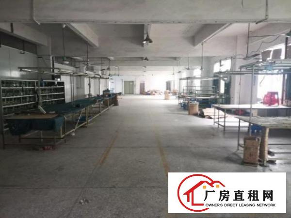  清溪新出厂房，无公摊，使用面积大，带装修，主线到位