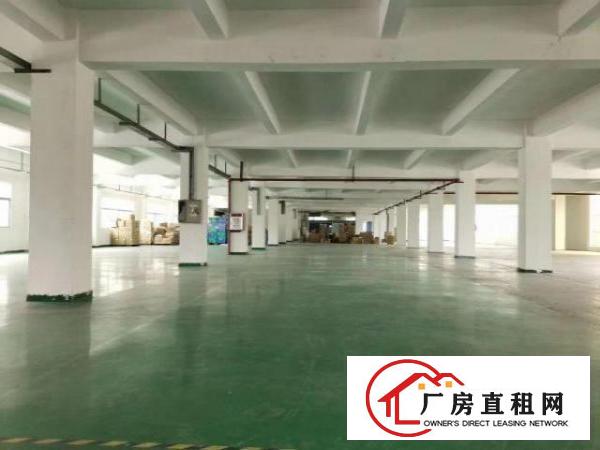  清溪新出二楼1800平，全新装修，办公室，主线到位，