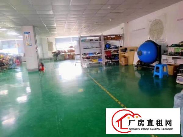  清溪镇渔梁围新出三楼600平