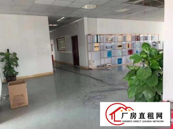  清溪镇新村原房东7000平方，独院大小分租