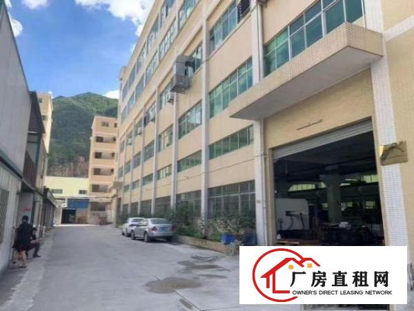 清溪镇新村原房东7000平方，独院大小分租