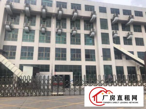  清溪原房东厂房招租12000一楼带牛角7米高