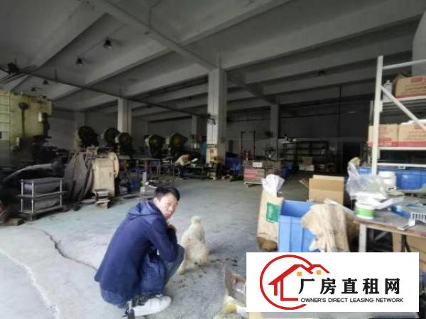  位置：清溪大利，面积：800平方米，标准一楼厂房，繁华街道旁