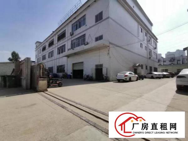  位置：清溪大利，面积：800平方米，标准一楼厂房，繁华街道旁