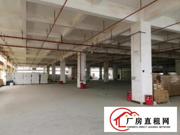 原房东厂房直租无公摊