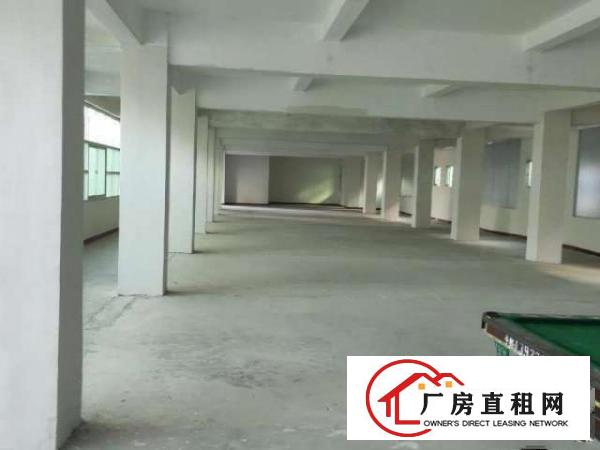 三中全新改造厂房1至4层每层700多平可分租