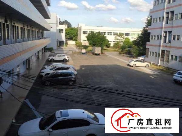  三中全新改造厂房1至4层每层700多平可分租