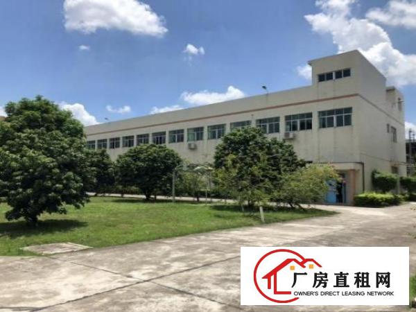  渔梁围独栋厂房出租豪华装修水电到车间
