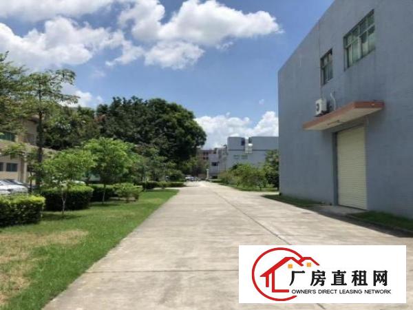  渔梁围独栋厂房出租豪华装修水电到车间