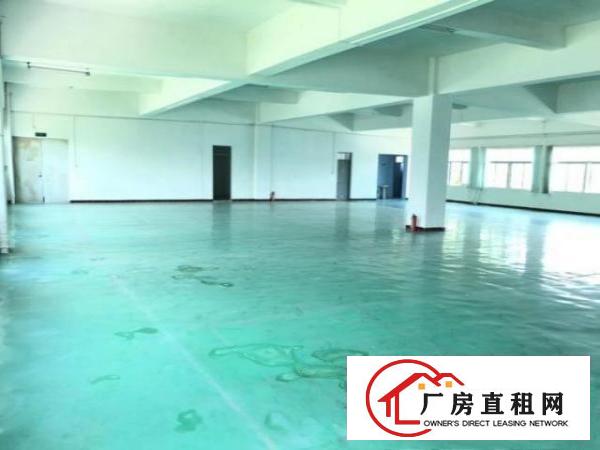  渔梁围独栋厂房出租豪华装修水电到车间