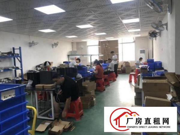  清溪新空出五楼小面积厂房350平方