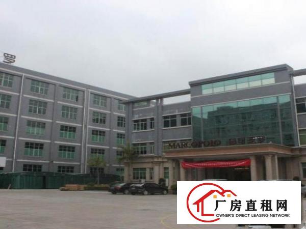  出租清溪镇清溪城区厦坭村金星二街7号马可孛罗