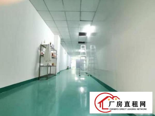  ~~清溪镇13800平米，双证齐全，任意分租，办厂好地段~~