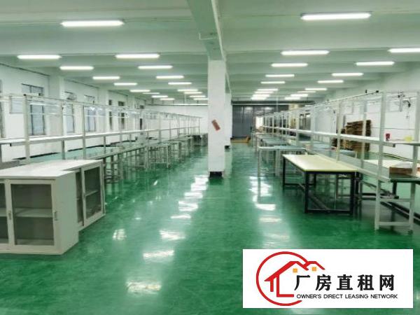  镇中心标准厂房三楼洁净车间带地坪漆