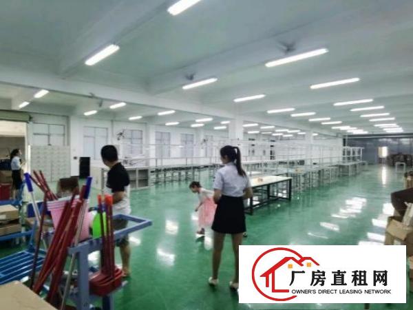  镇中心标准厂房三楼洁净车间带地坪漆