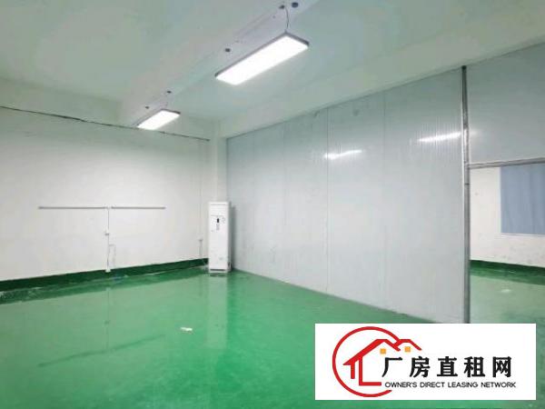  镇中心标准厂房三楼洁净车间带地坪漆