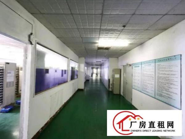  标准厂房锂电池厂房带环评