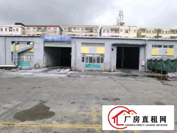  砖墙到顶钢结构单一层共1200平，可分租俩个600平