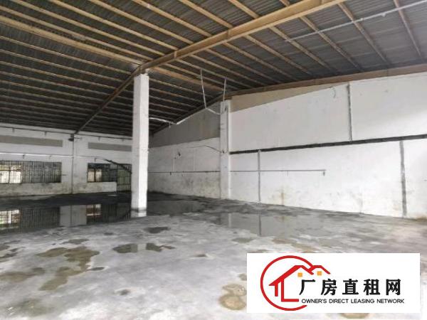  砖墙到顶钢结构单一层共1200平，可分租俩个600平