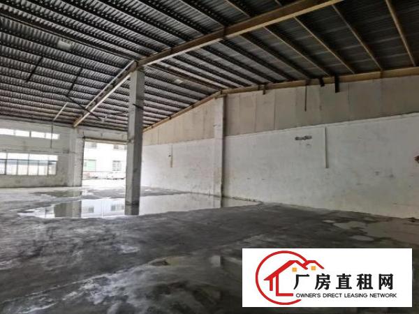  砖墙到顶钢结构单一层共1200平，可分租俩个600平