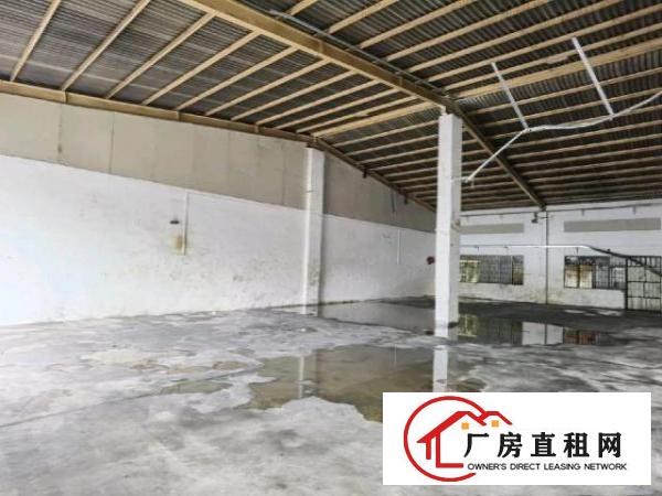  砖墙到顶钢结构单一层共1200平，可分租俩个600平