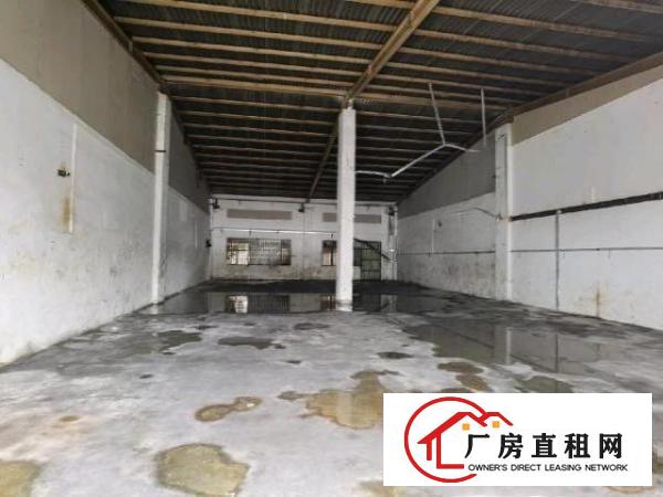  砖墙到顶钢结构单一层共1200平，可分租俩个600平