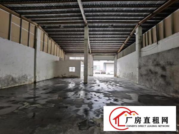  砖墙到顶钢结构单一层共1200平，可分租俩个600平